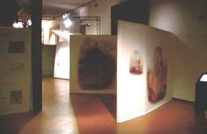 Grotta des Cervi